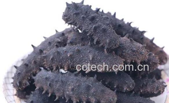  干海参怎么保存 干海参保存的方法技巧-0