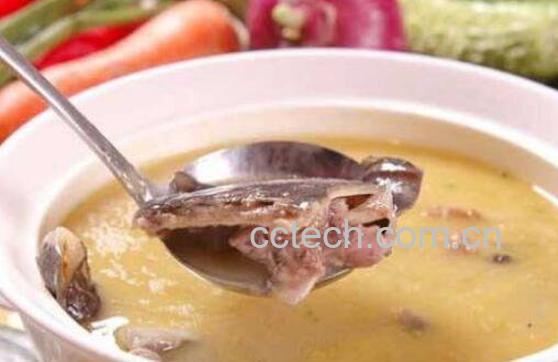 甲鱼怎么炖最有营养 甲鱼和什么一起炖最好-0