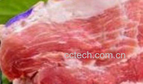 雪猪肉的功效与作用-0