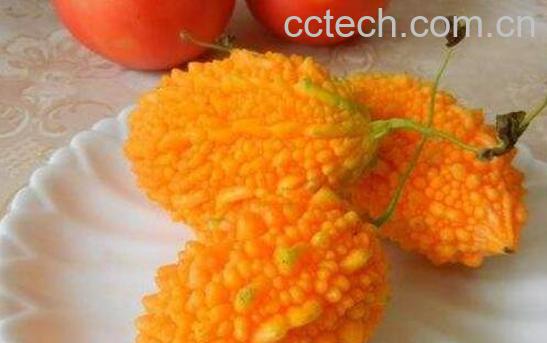 金癞瓜怎么吃 金癞瓜的吃法技巧-0