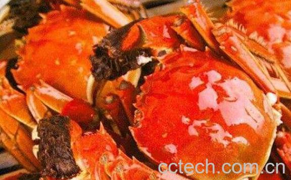 大闸蟹怎么吃 吃大闸蟹的注意事项-0