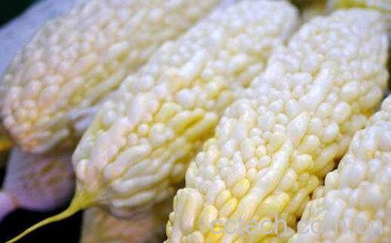 癞瓜和苦瓜的区别 癞瓜怎么吃好-0