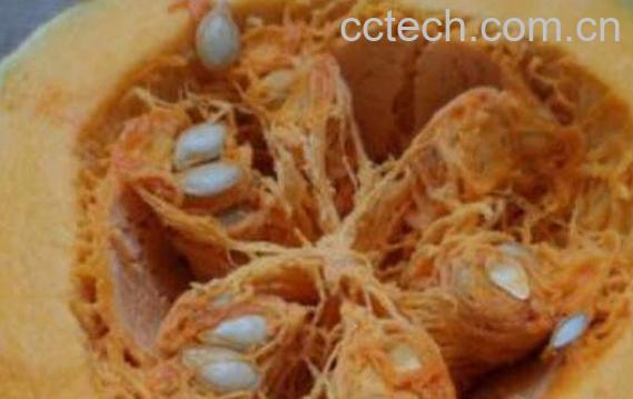 南瓜瓤的功效与作用-0