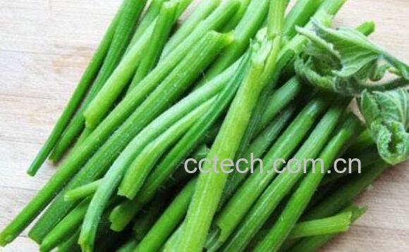 南瓜秧的功效与作用-1