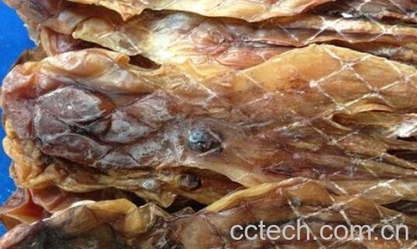 章鱼干的功效与作用-1