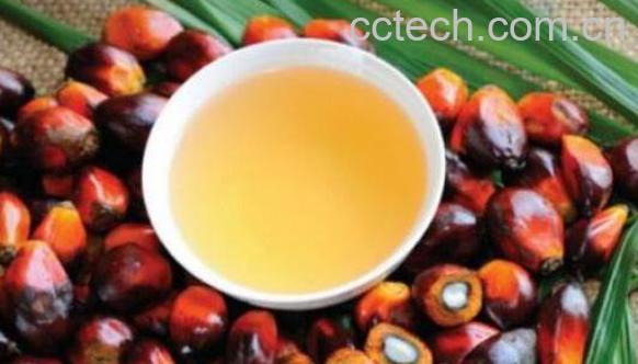 棕榈油的功效与作用及副作用-0