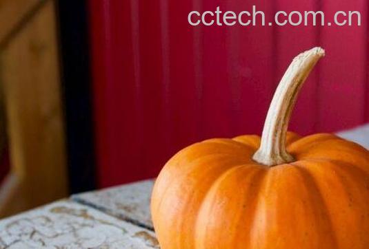 南瓜把的功效与作用及药用价值-0