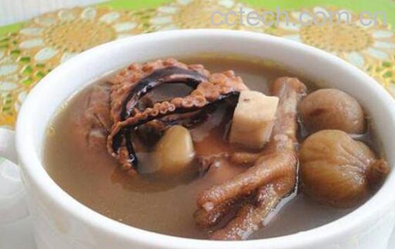 章鱼汤的功效与作用-1