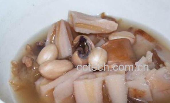 章鱼汤的功效与作用-0
