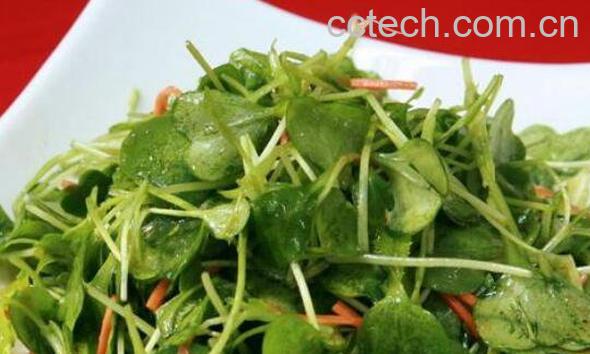  萝卜叶子怎么做好吃-0