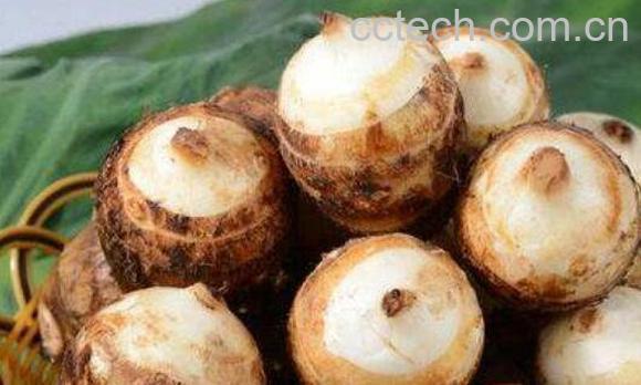 芋头的功效与作用有哪些-0