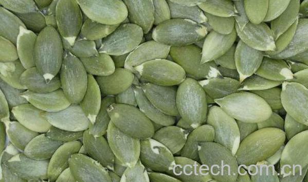 南瓜子仁的功效与作用有哪些-1