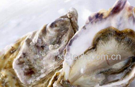 海蛎子和生蚝的区别 海蛎子的作用-0