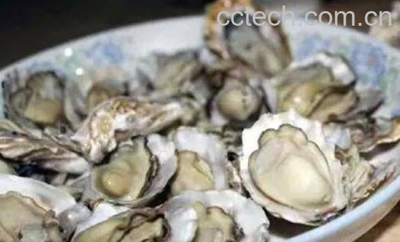 海蛎子和生蚝的区别 海蛎子的作用-1