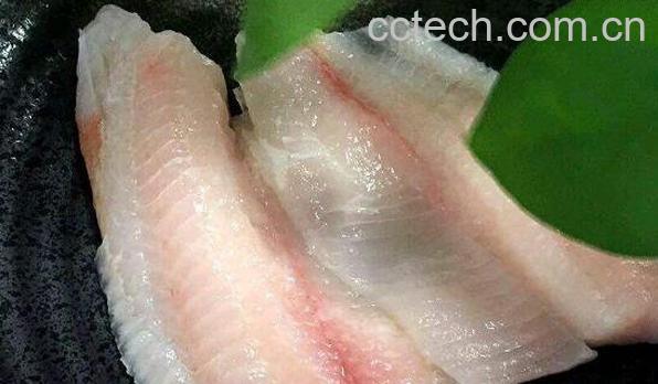 龙利鱼的功效与作用-0