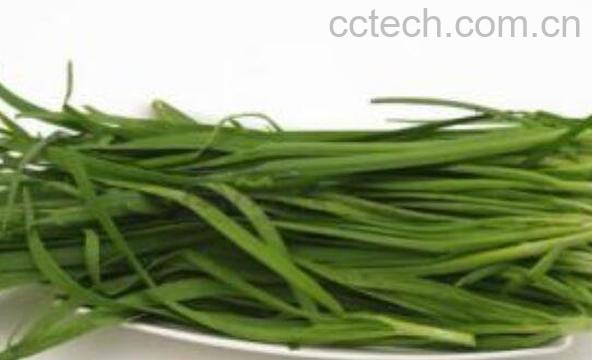  孕妇能吃韭菜吗 孕妇吃韭菜的好处和坏处-1