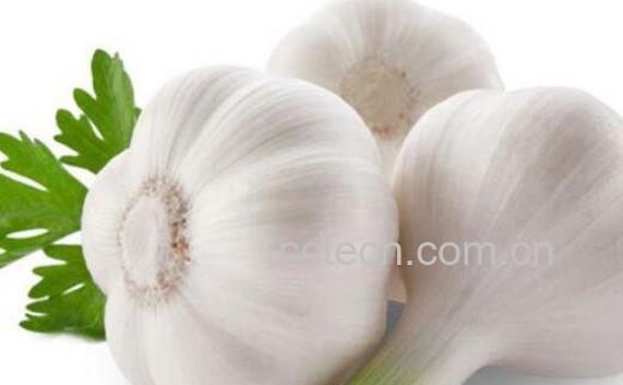 生大蒜头怎么吃 生大蒜头的吃法技巧教程-1