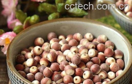 女人吃芡实有什么好处-0
