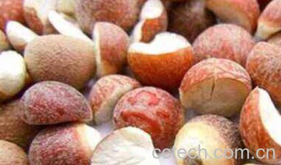 女人吃芡实有什么好处-1