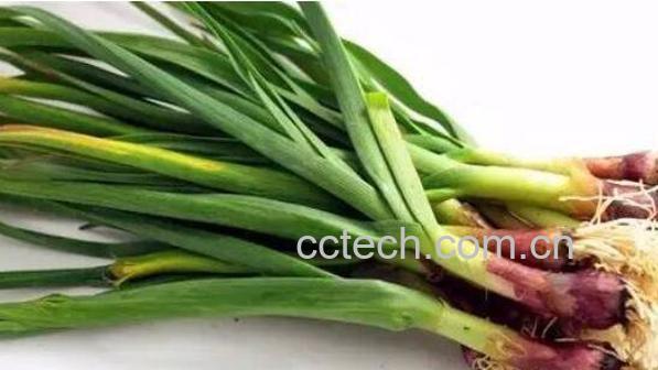 干蒜苗杆的功效与作用-1