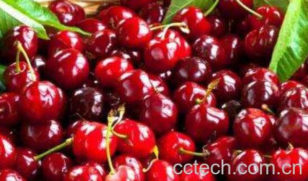 含碘高的食物有哪些 缺碘吃什么食物好-0