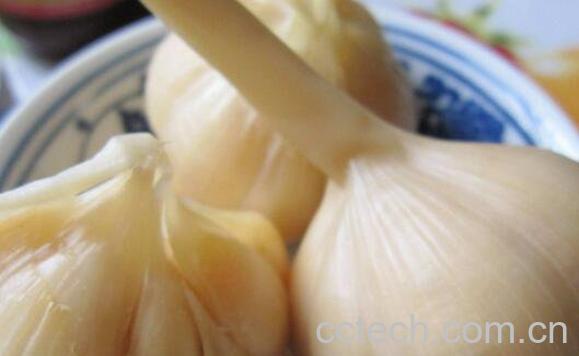 鲜蒜头怎么腌制好吃 鲜蒜头的腌制方法-1
