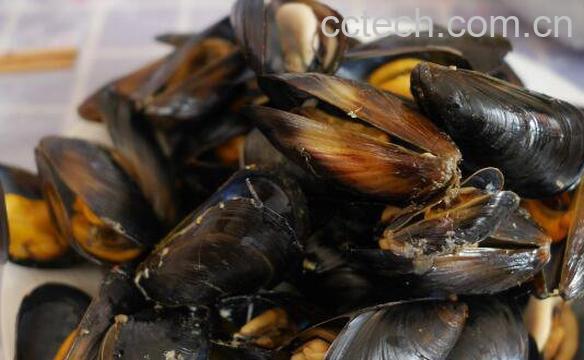  海虹怎么吃 海虹的家常做法-0