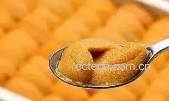 鲜海胆肉怎么吃 鲜海胆的吃法教程-1