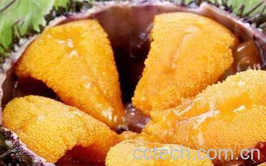 鲜海胆肉怎么吃 鲜海胆的吃法教程-0