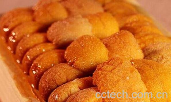 海胆黄是什么 海胆黄的功效与作用-0