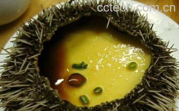 海胆怎么处理 海胆怎么打开-0