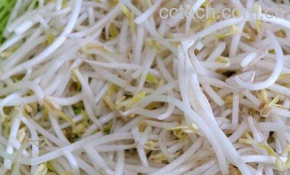 绿豆芽的营养价值及功效作用-0