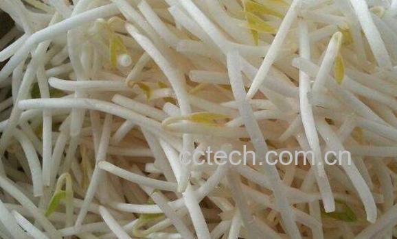 绿豆芽的营养价值及功效作用-1