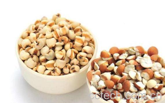 芡实怎么煮烂 新鲜的芡实怎么吃-1