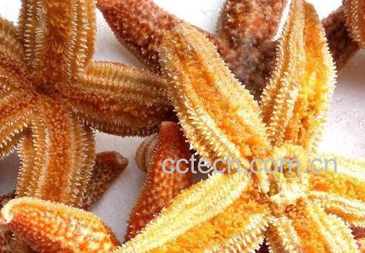 海五星的功效与作用-0