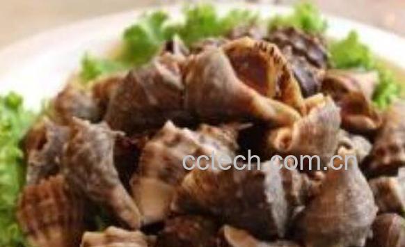 大海螺怎么吃 大海螺的食用方法-1