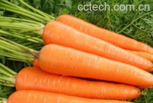 增强免疫力的食物有哪些 吃哪些食物能增强免疫力-1