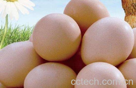 蛋怎么保存 保存蛋不变质的技巧教程-1
