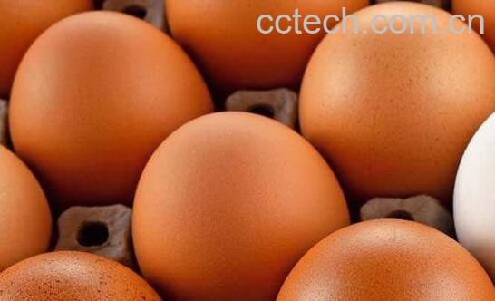 蛋怎么保存 保存蛋不变质的技巧教程-0