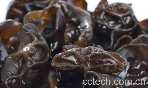 软化血管的食物有哪些 哪些食物能保护血管-0