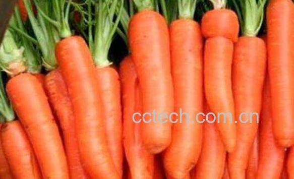 含维生素a的食物有哪些 维生素a有什么作用-0