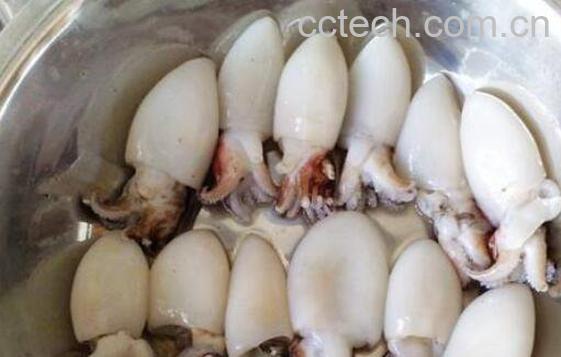 墨鱼的功效与作用 墨鱼的食用禁忌-0