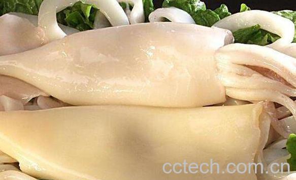 墨鱼的功效与作用 墨鱼的食用禁忌-1