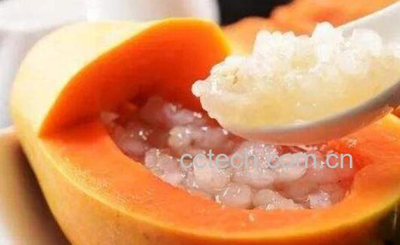 雪蛤怎么吃 雪蛤的食用方法-0