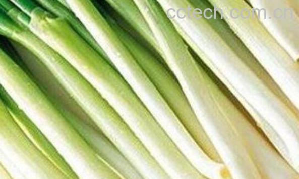 葱白水怎么煮 煮葱白水的做法-1