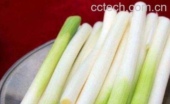 葱白水怎么煮 煮葱白水的做法-0