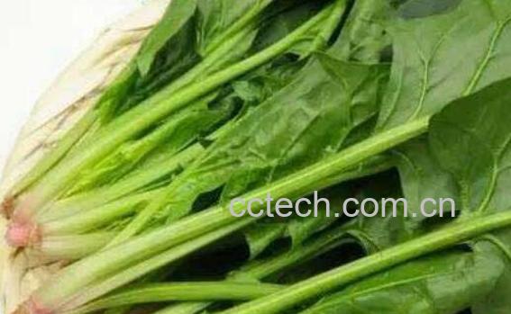 夜盲症吃什么好 适合夜盲症吃的食物-1