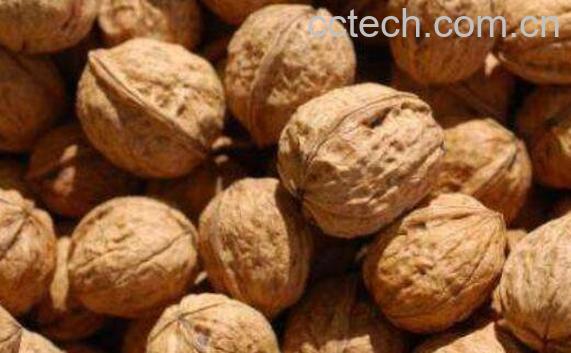 增强记忆力的食物有哪些 记忆力不好吃什么食物好-0