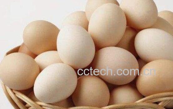 增强记忆力的食物有哪些 记忆力不好吃什么食物好-1