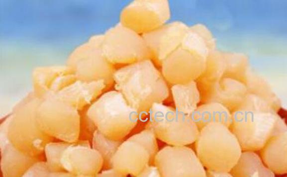 瑶柱的功效与作用 吃瑶柱的好处-0